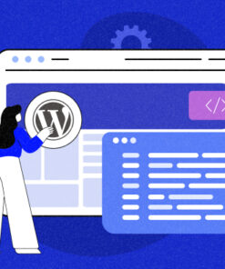WordPress Themes